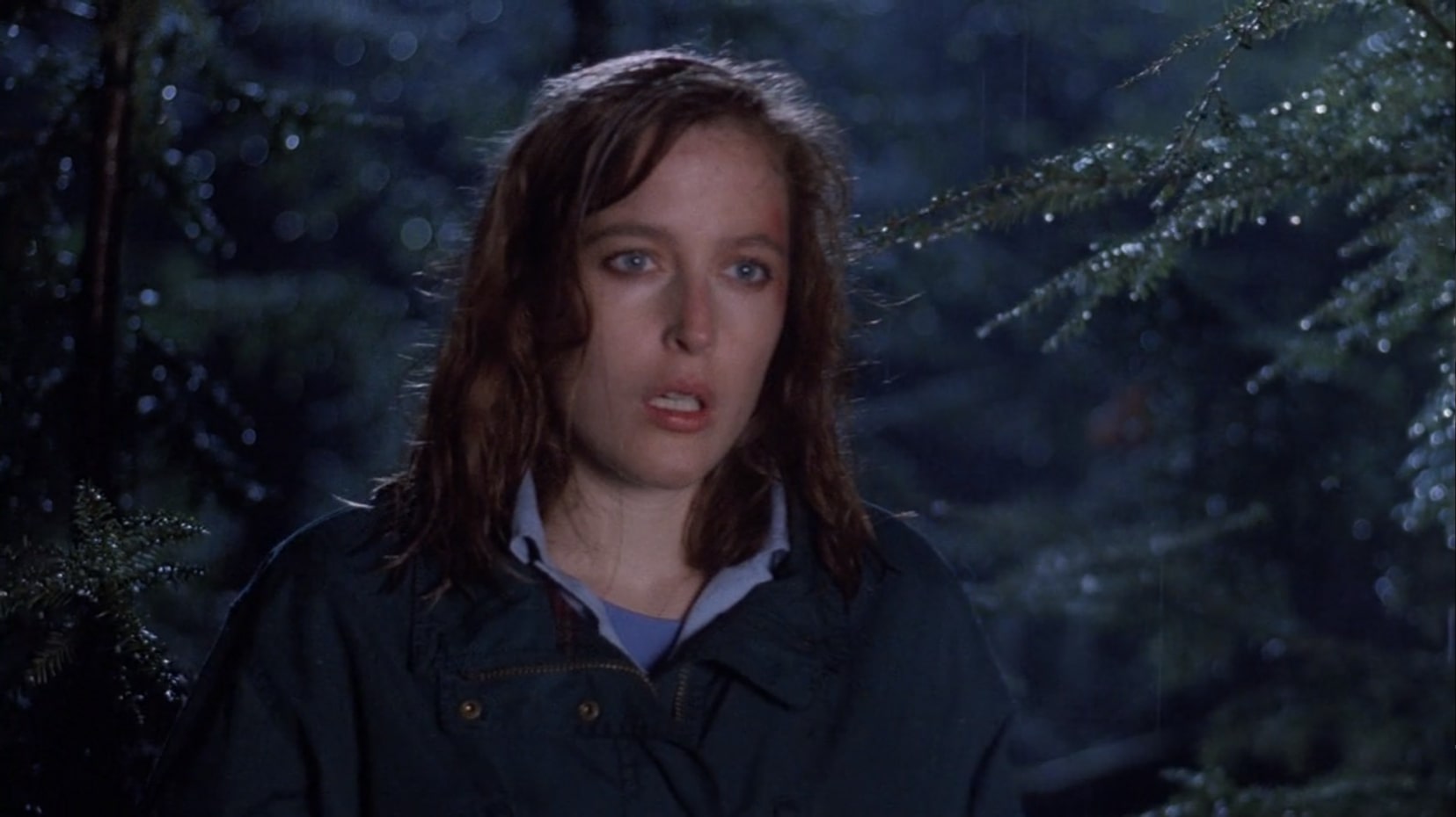 It's nighttime. Scully is in the woods and she's staring agape at something in the distance. A bright light illuminates her face, bringing a small shine to her eyes. She has a red bruise on her left temple and brow. Her red hair looks bedraggled.